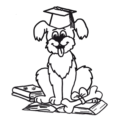 Hundeblick · Videoplattform der Hundeschule "Die lernenden Pfoten"